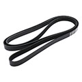 Accessory Belts