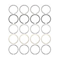 Piston Rings and Clips