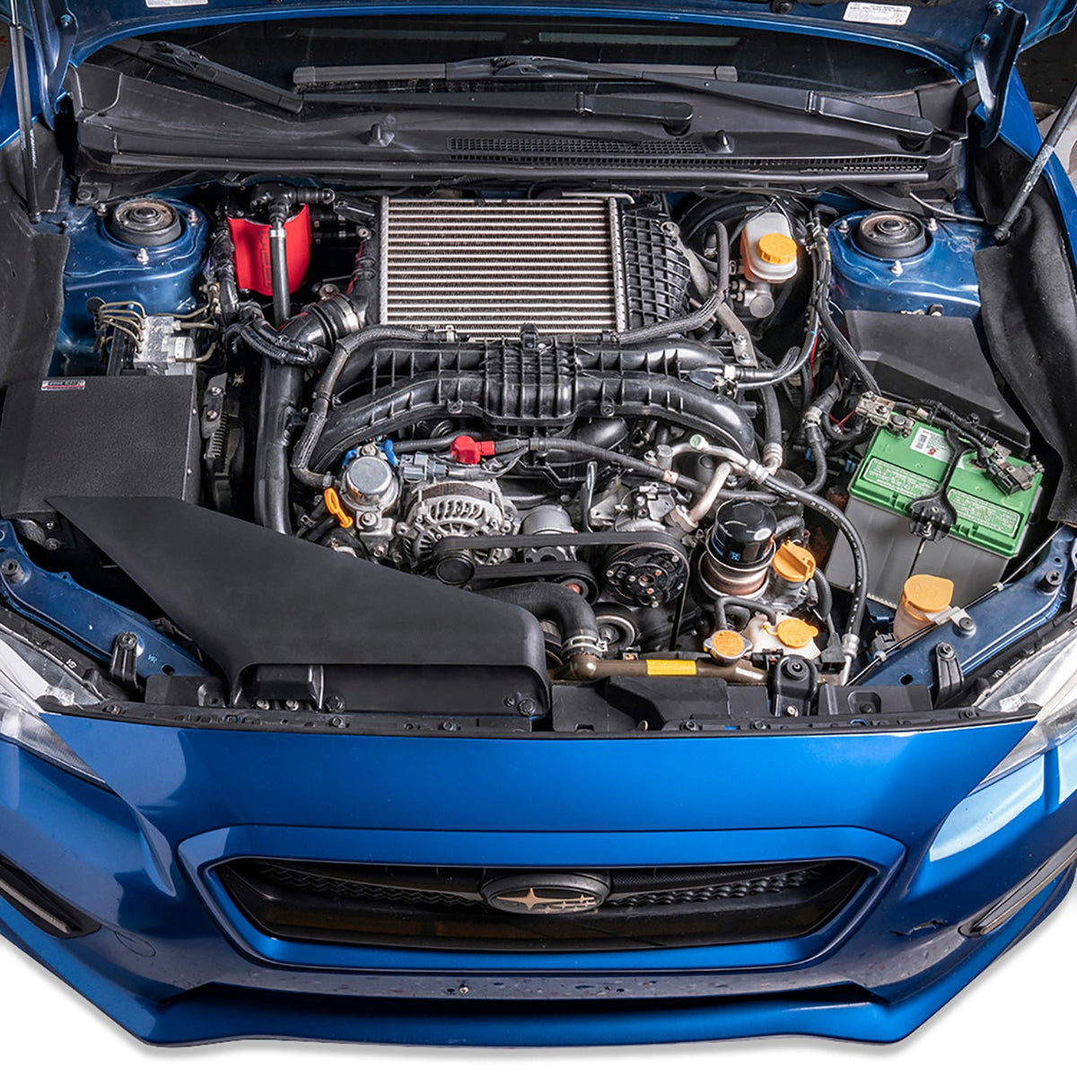 IAG Performance Air Oil Separator AOS - Black - 2015-2021 Subaru WRX / 2014-2018 Forester XT
