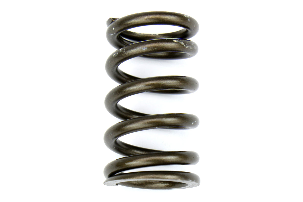 BRIBC0600S Brian Crower Steel Spring and Retainer Kit,