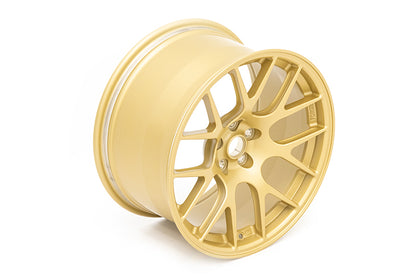 AXREC7R1895ET40-5100-561-SGD Apex Race Parts 18x9.5 +40 EC-7R Forged Satin Gold,